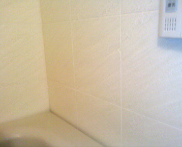 浴室の壁