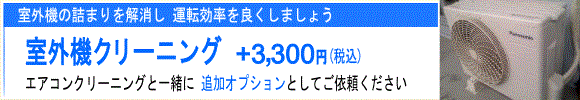 ｢エアコン室外機のクリーニング｣は追加オプションで3000円。