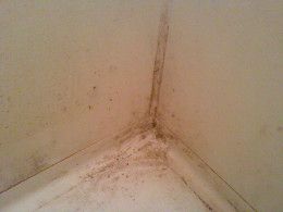 壁や床が石鹸カスや水垢、カビで汚れています